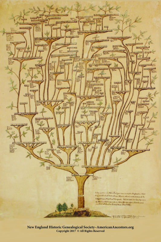 Folger Family Tree Lithograph