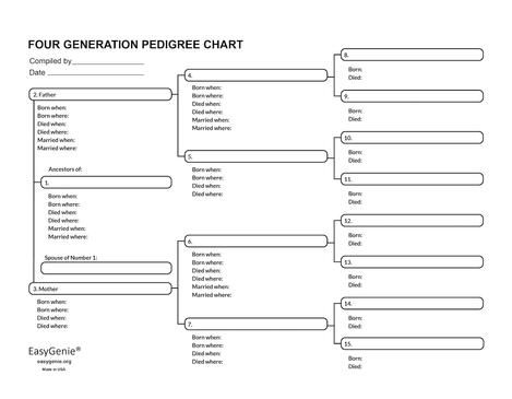 five generation pedigree chart template